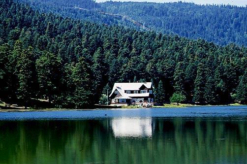 Murat