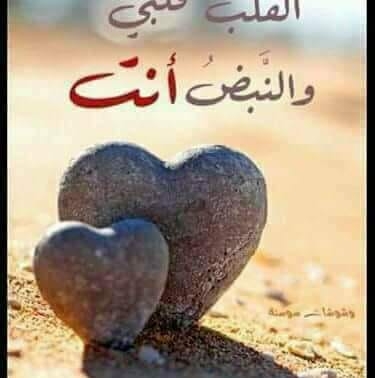 Akeed