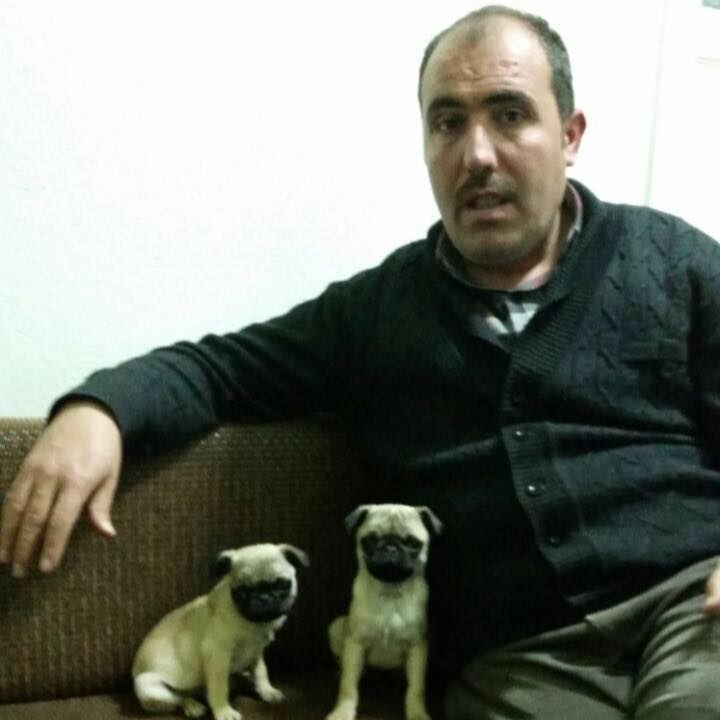 Mustafa