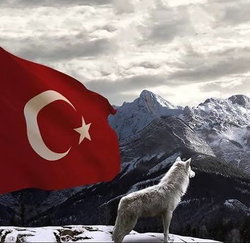 Yalnız