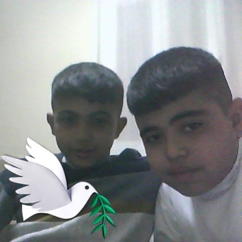 Mustafa