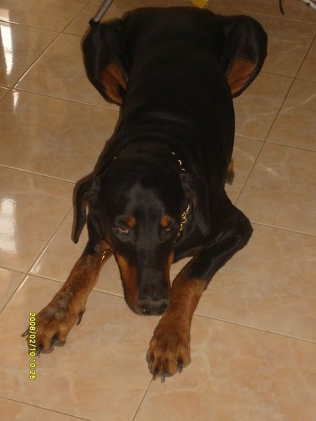 Blackie