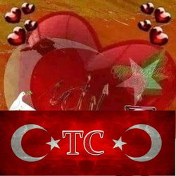 Haydar