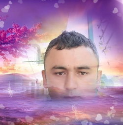 Sedat
