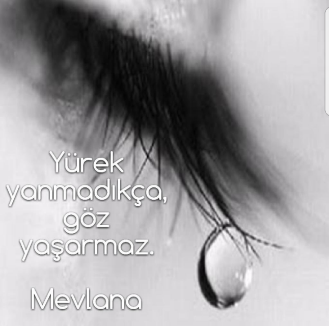Melis