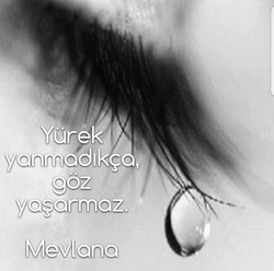 Melis