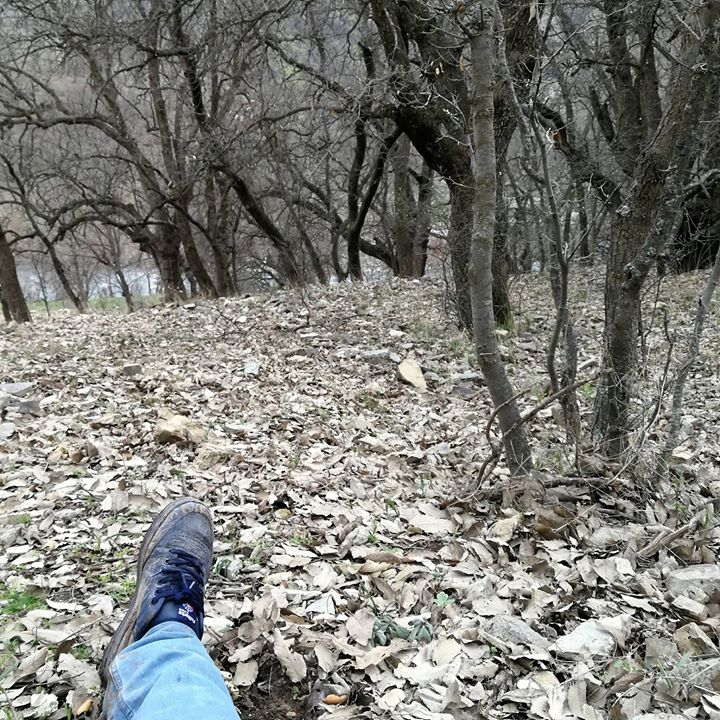 იბრაჰიმ