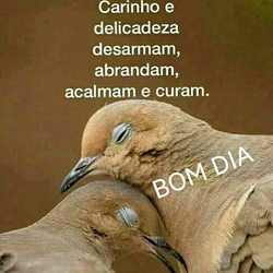 Clemilda
