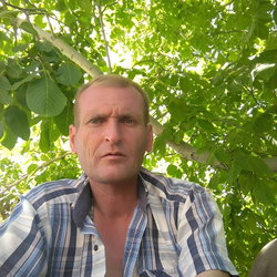 Veysel