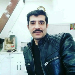 Şahin