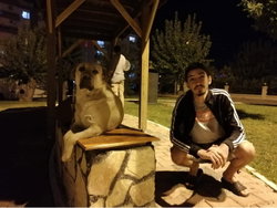 Doğukan