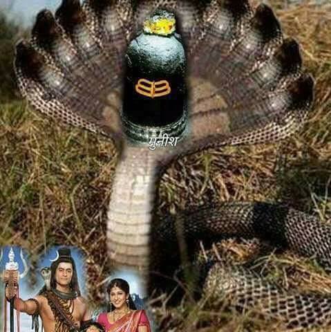 Bhavik