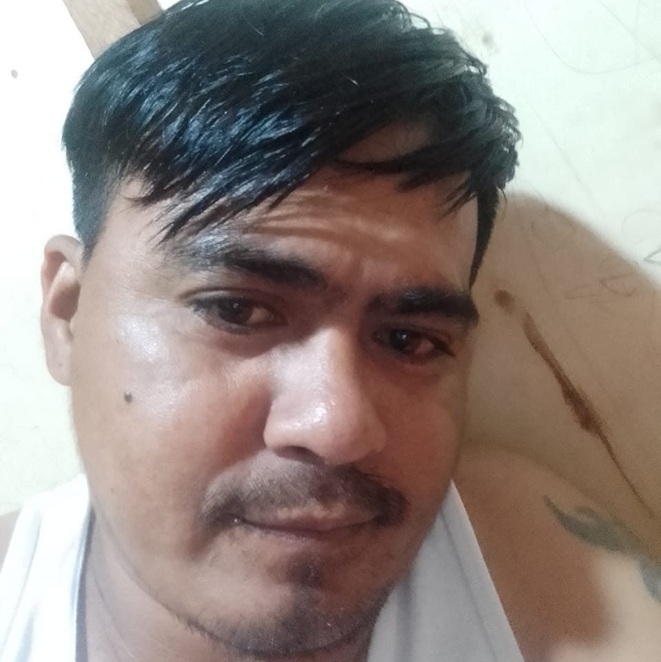 Noli