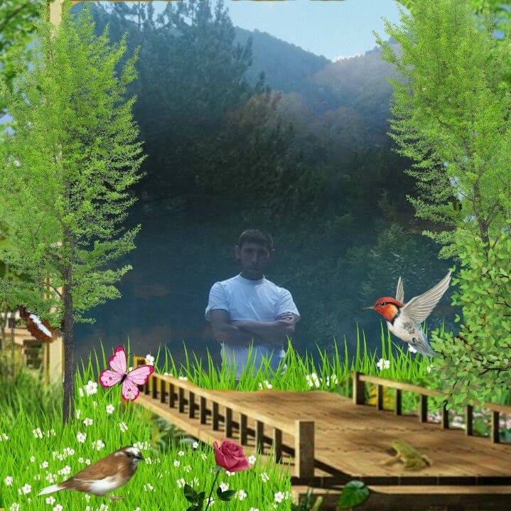 Tc