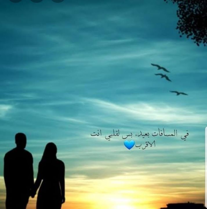 هيفاء