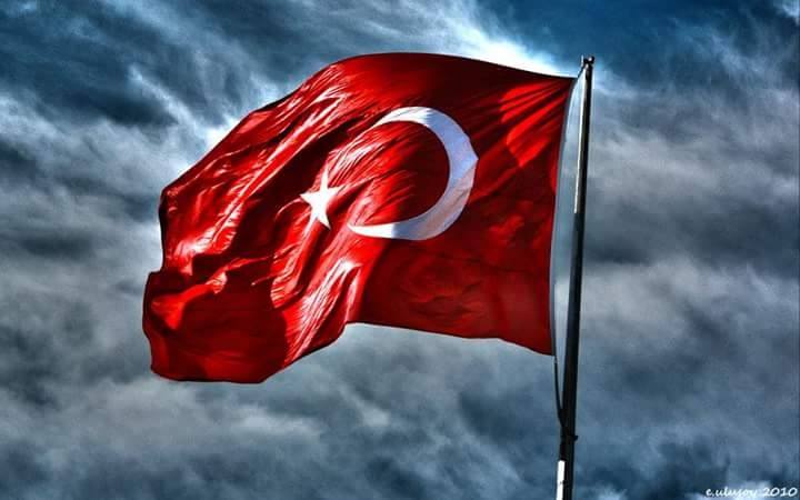 Orhan