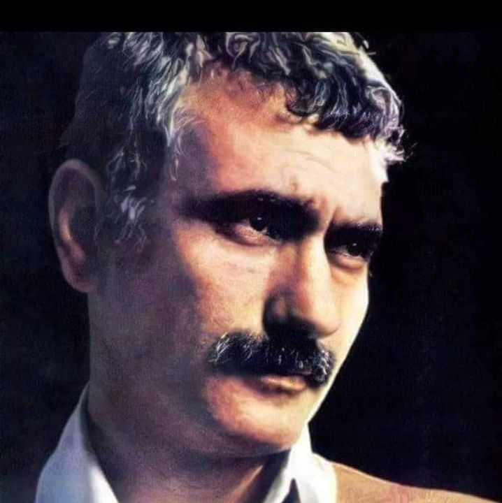 Şahy