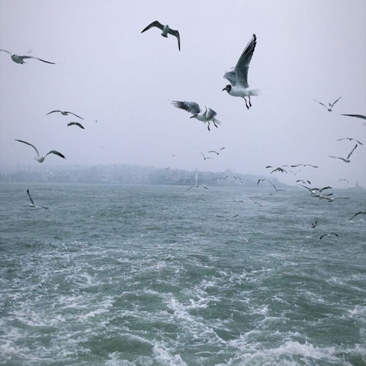 Hurınaz