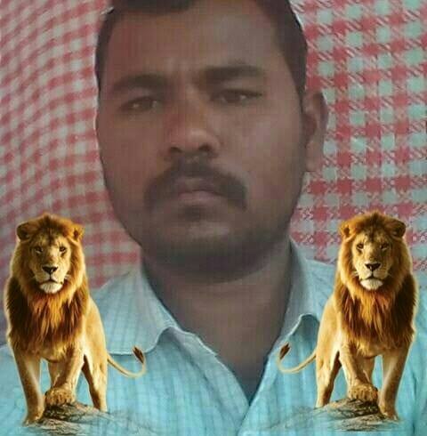 Golu