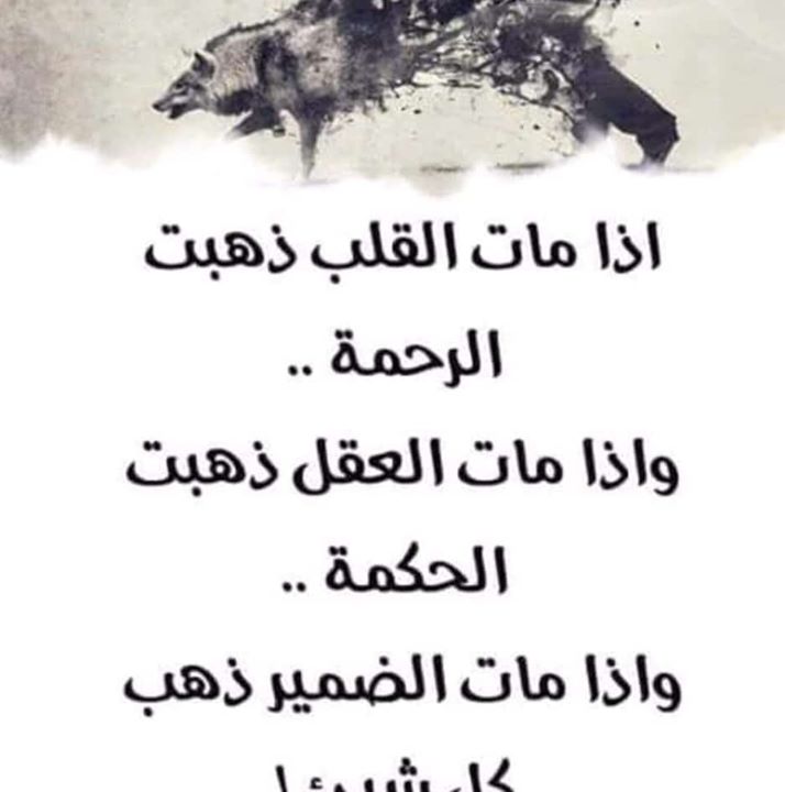 سليمان