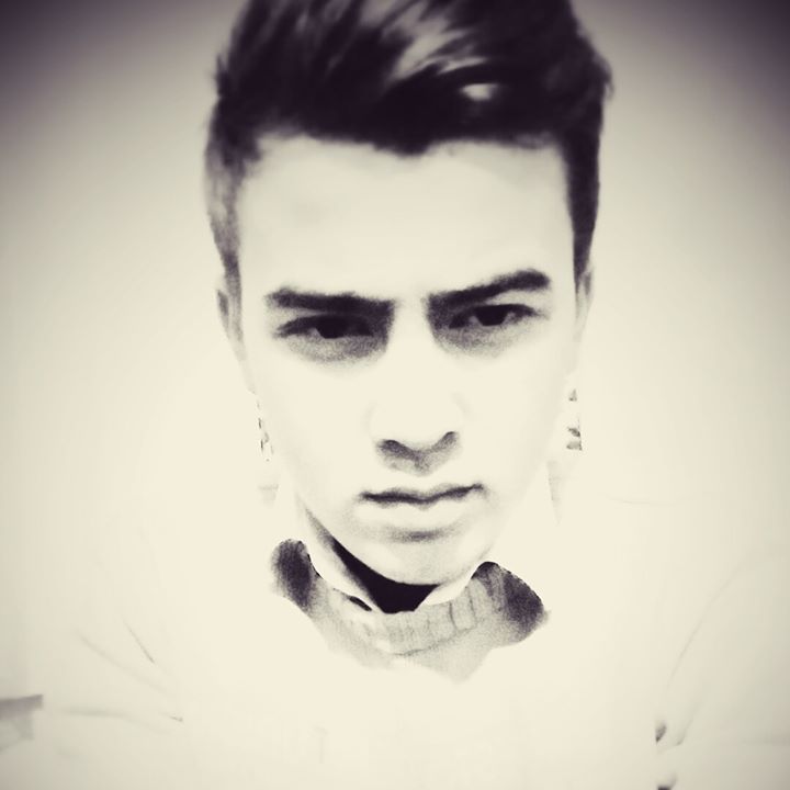Şahin