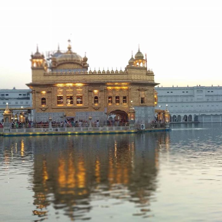 Shaminder