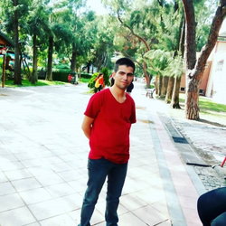 Vedat