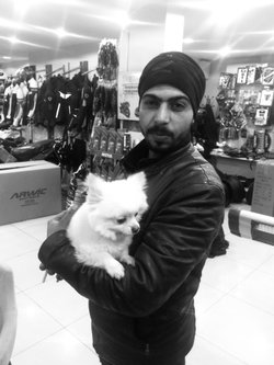 Ali