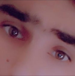 Hamid