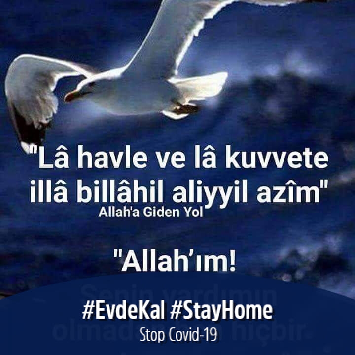 Suleyman