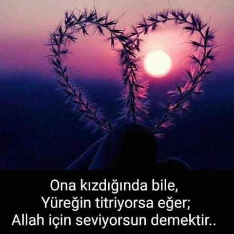 Sevda