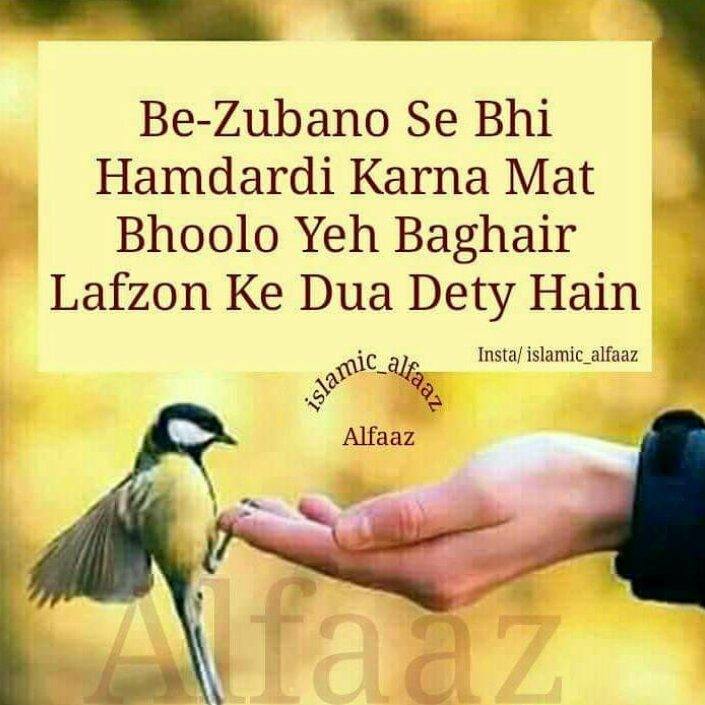 Vasil