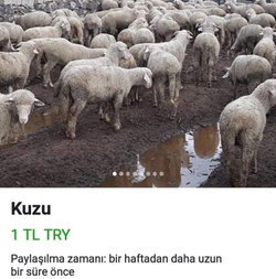 Fikret