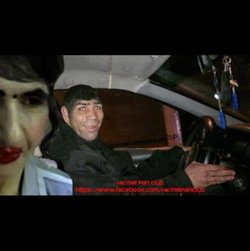 Şahin