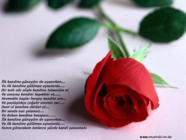 Yasin