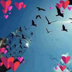 لورنس