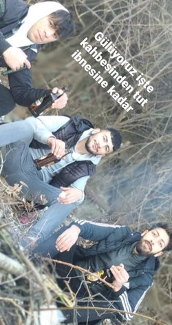 Barış