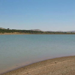 Yaşar