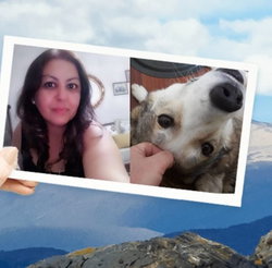 Demet
