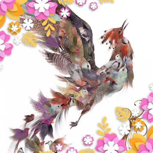 Simorgh