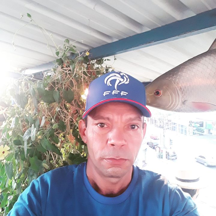 Vanir
