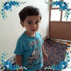 نسيم