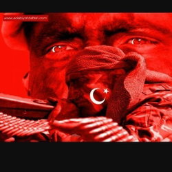 Murat