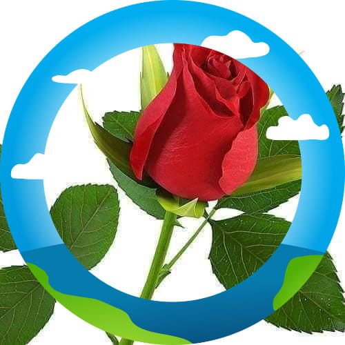 Abdulhakim