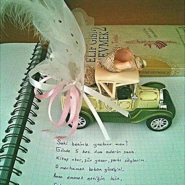Selin
