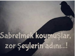Müslüm