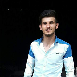 Bilgin
