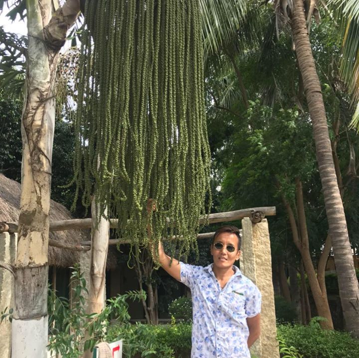 Lungthok
