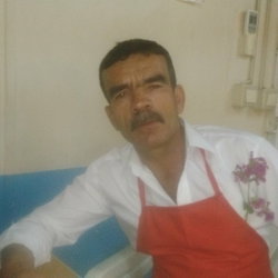 Vedat