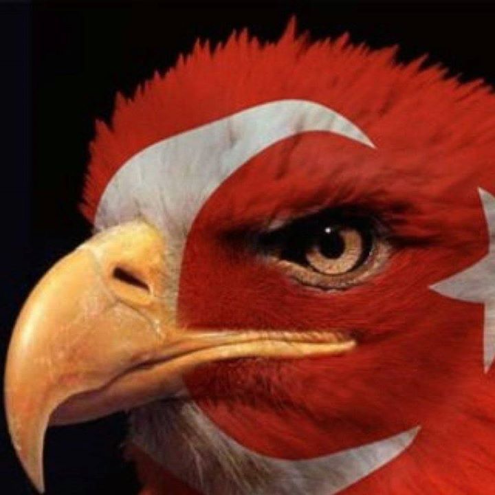 Serhat